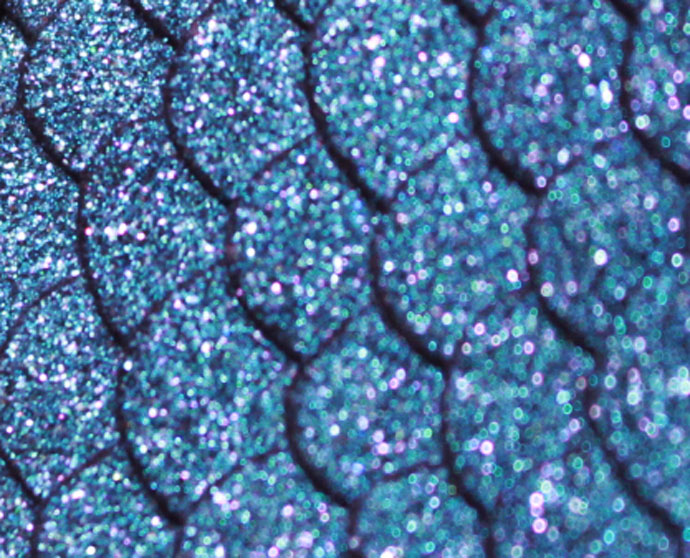 Sombra-Colorful-Eye-Shadow-Duo-Chrome-mermaid-taill-04