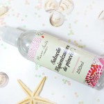 Solução Higienizadora de Pincéis da Marina 2Beauty