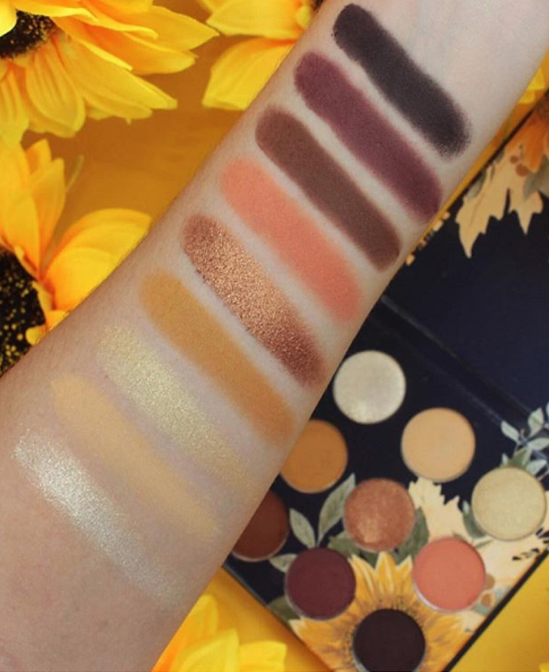 Top 10 Swatches Lindos de BT Sunflower